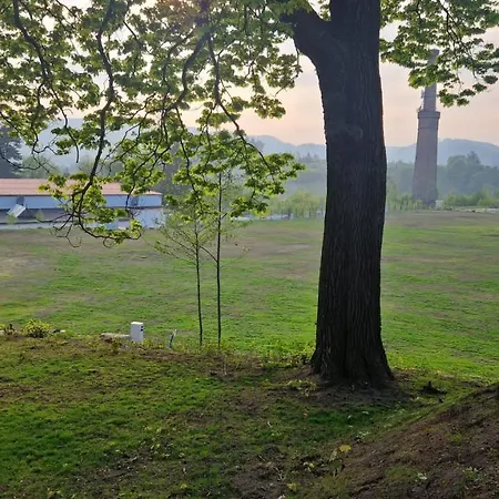 Stawy Marcowe W Gluszycy Kamp alanı *