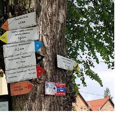 Kamp alanı Stawy Marcowe W Gluszycy Gluszyca