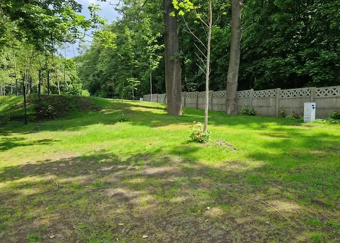 Stawy Marcowe W Gluszycy Gluszyca